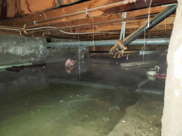 Best Ceiling water damage repair  in Middletown, OH