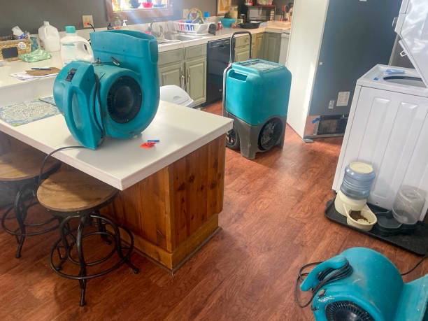 Best Commercial water damage restoration  in Middletown, OH