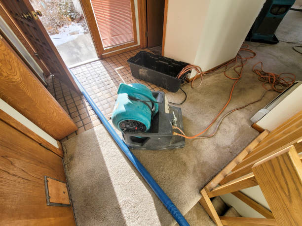 Best Water damage restoration near me  in Middletown, OH