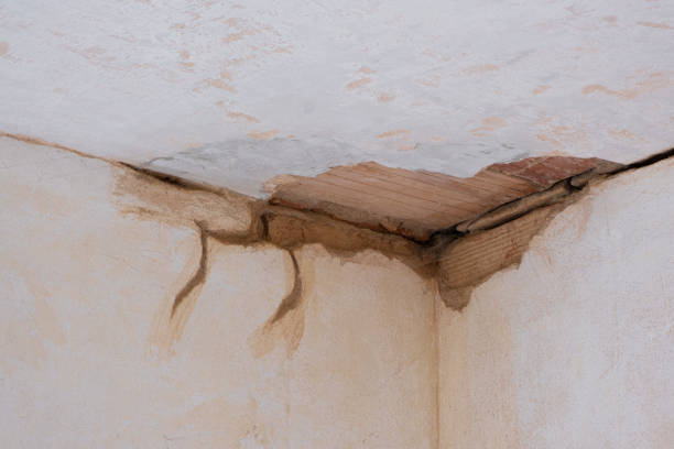 Carpet water damage restoration in Middletown, OH