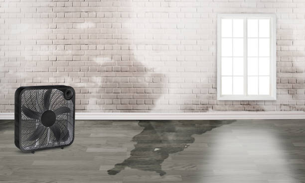 Best Residential water damage restoration  in Middletown, OH