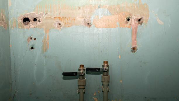 Best Water damage mitigation services  in Middletown, OH