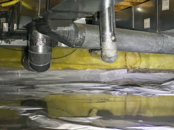 Best Local water damage restoration  in Middletown, OH