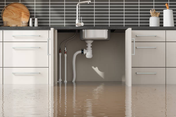 Best Mold removal after water damage  in Middletown, OH