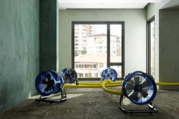 Best Flood restoration services  in Middletown, OH